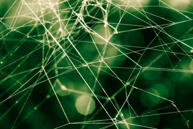Agence netlinking : Qu’est-ce que c’est et comment trouver la bonne ?